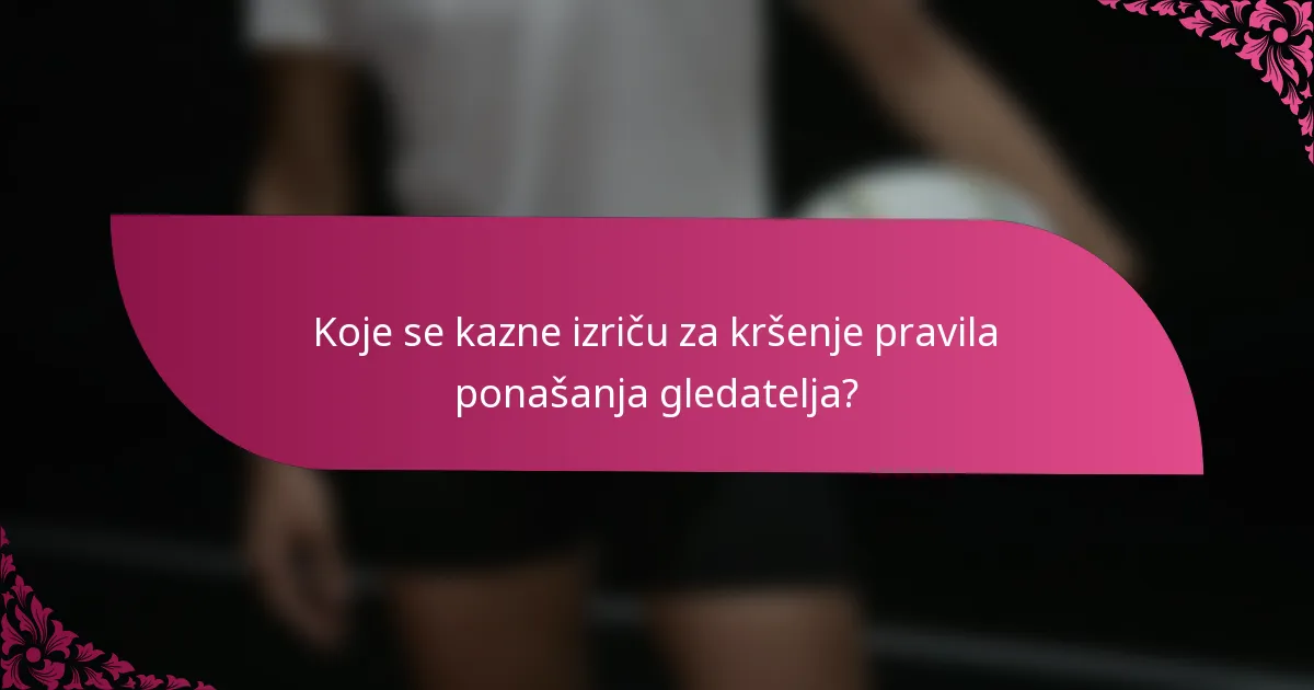 Koje se kazne izriču za kršenje pravila ponašanja gledatelja?